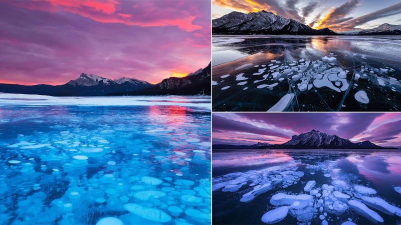 Stunning Bubbles Frozen Under Lake Abraham
